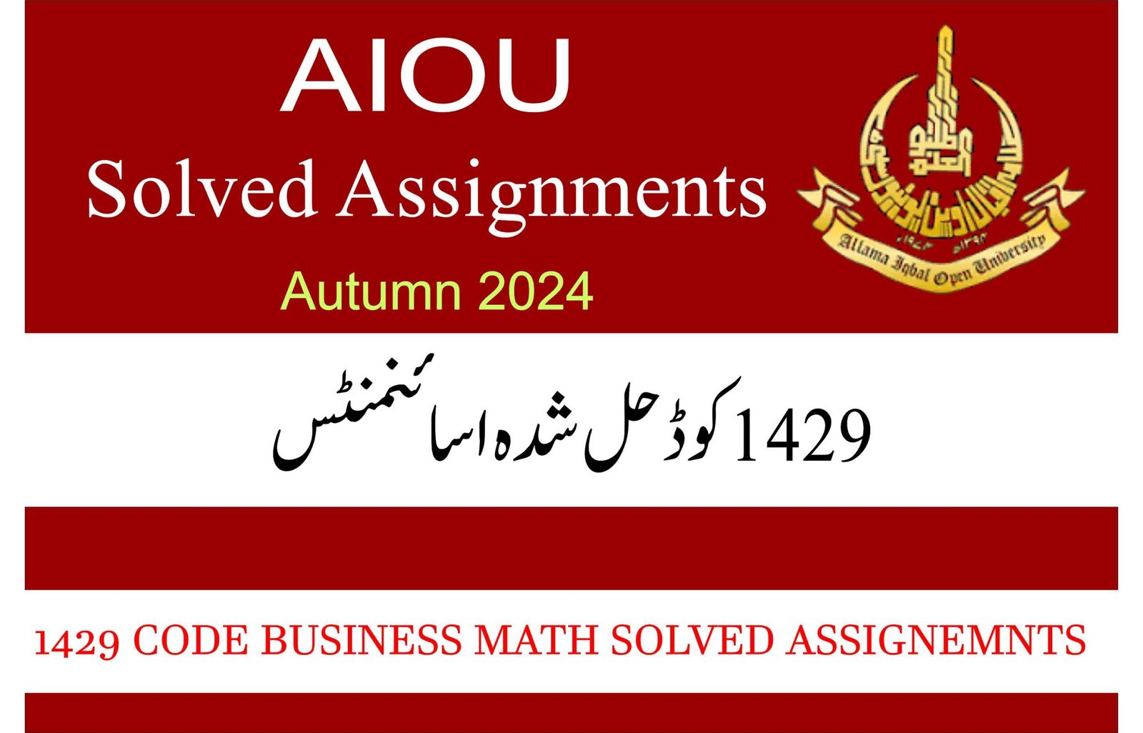 1429 Code Solved Assignments Autumn 2024