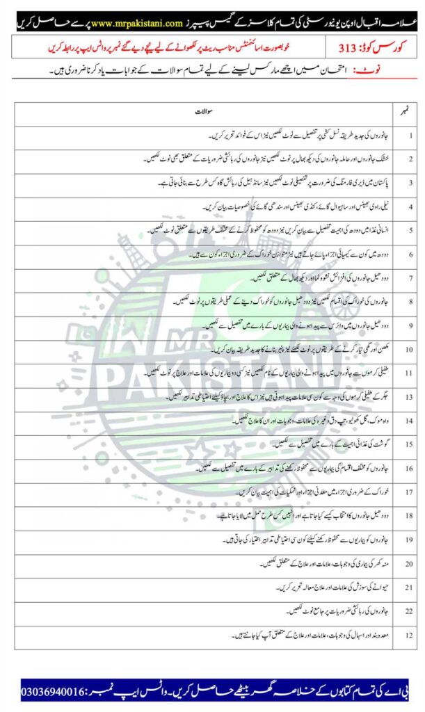 AIOU 313 Code Guess Paper