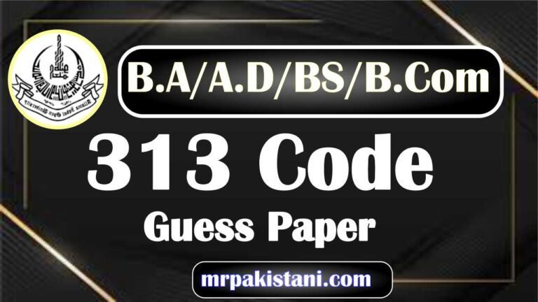 AIOU 313 Code Guess Paper